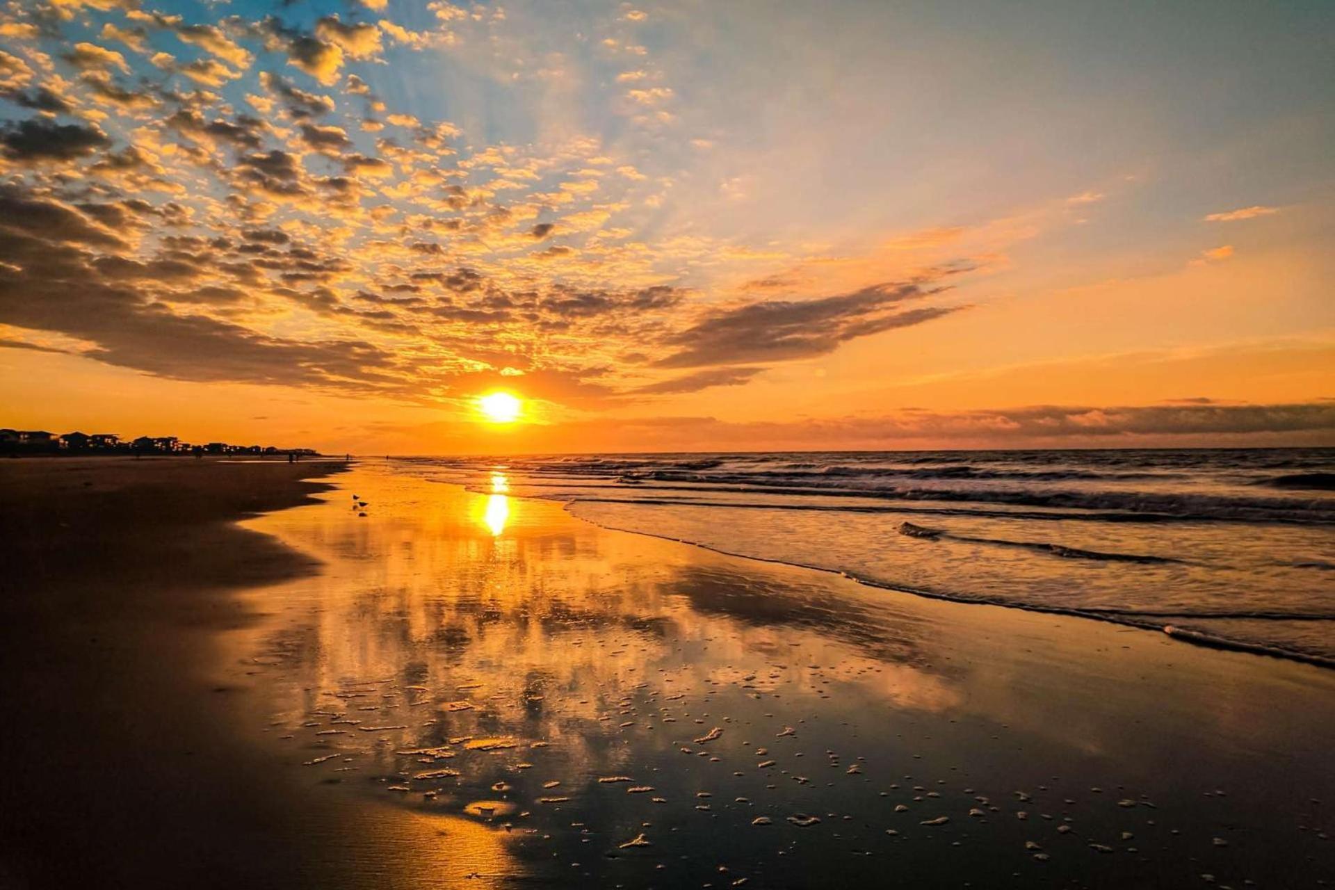 Love Blooms Here Isle of Palms Ngoại thất bức ảnh